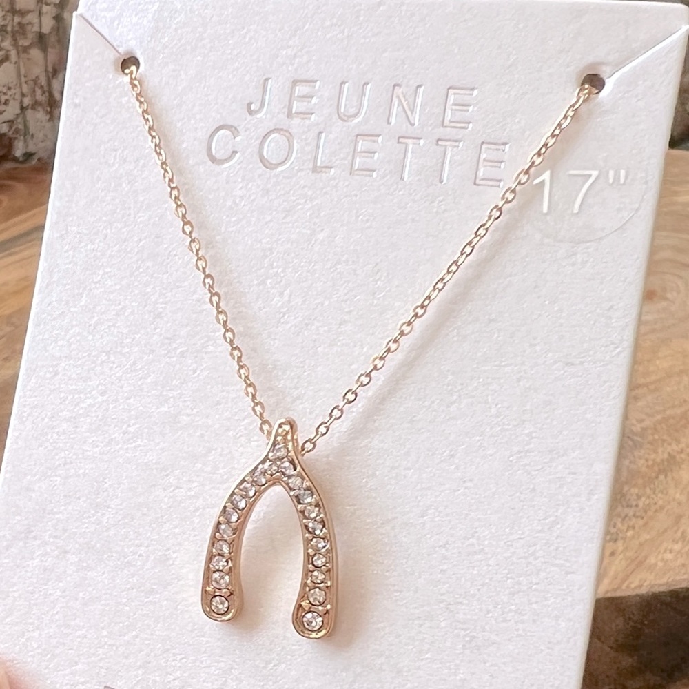 Dainty Wishbone Necklace